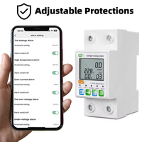 Nouveau Original RMshebei smartlife WIFI MCB compteur électrique intelligent Kwh 63A 110V 220V disjoncteur WIFI protecteur de tension disjoncteur
