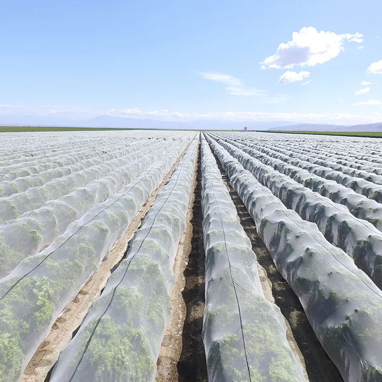 Red de protección contra insectos y aves, malla de plástico antigranizo para invernadero agrícola