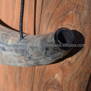 Chope européenne de luxe fabriquée à la main pour les amateurs de bière et d'hydromel corne à boire polie avec taille personnalisable - Product Image 1