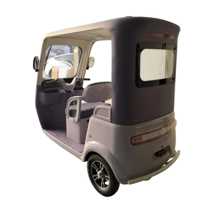 Juejue Purple HQ-Lushang Mini Tricycle Fermé pour Enfants - Courses et Petits Trajets, Autonomie 30 km, Vitesse 30 km/h, Idéal pour la Ville - Product Image 4