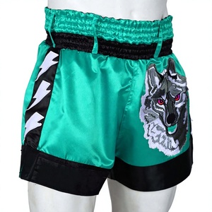 Shorts de boxe pour hommes BLAZE FIGHT WEAR, satin lourd 180g, 100% polyester, broderie 3D, impression par sublimation, personnalisable - Product Image 1