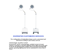 Chirurgie Dentaire Phare Lumière Chirurgicale Led Shadowless Chirurgie Médicale Led Lumière Opératoire pour Examen
