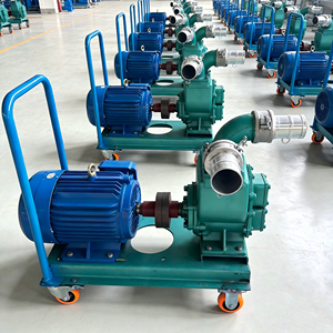 Портативный мини-насос для перекачки дизельного топлива и масла, 3 дюйма/2 дюйма, 5,5 кВт - Product Image 4