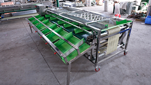 Trieuse orbitale à rouleaux pour pruneaux, ligne de tri multi-niveaux de type rail pour noisettes et agrumes, calibrage du diamètre - Product Image 5