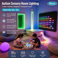 Mayki Jouets sensoriels personnalisés pour l'autisme, stimulation visuelle, éducation sensorielle, jouets thérapeutiques à changement de couleur pour enfants, jeu sensoriel