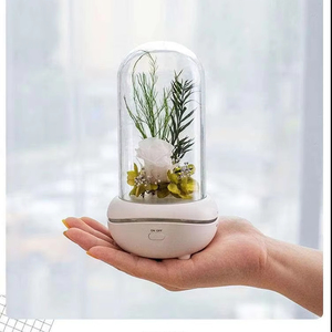 Ánh Sáng Thấp Tiếng Ồn Nhỏ Tinh Dầu Hương Thơm Hương Thơm Khuếch Tán Có Thể Sạc Lại Bảo Quản Hoa Hương Liệu Đèn Với Đêm Đầy Màu Sắc - Product Image 5