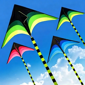 <span class=keywords><strong>Cometa</strong></span> Decorativa Triangular Arcoíris Fácil de Volar <span class=keywords><strong>para</strong></span> Niños y Adultos, Muy Funcional - Product Image 4