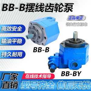 Bomba de Aceite de Engranajes Cicloides BB-B10/B4/B6/B16/B25/B40, Modelos en Estado Nuevo, Incluidos BB-BY50/BY63/BY80/BY100 - Product Image 4
