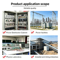 Batterie de condensateurs 11 kV personnalisée, équipement de compensation automatique de puissance réactive haute tension pour la distribution d'énergie industrielle