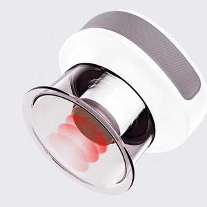 EBS9 set terapia coppettazione elettrica smart bian-stone coppettazione macchina sottovuoto con luce rossa - Product Image 5