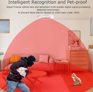 Home Security Alarmsysteem Batterij Werkende Plafond <span class=keywords><strong>Mount</strong></span> 433Mhz Draadloze Pir Bewegingssensor - Product Image 5