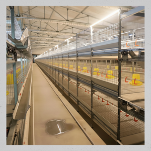 Cages à poulets multicouches à faible bruit pour les visiteurs, adaptées aux zones de loisirs pour les poulets de chair. - Product Image 1