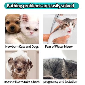 Toallitas Húmedas Biodegradables y Ecológicas para Mascotas, Perros y Gatos, para Limpieza de Patas, Ojos y Oídos, Marca Privada, Sin Perfume, Personalizadas de Fábrica - Product Image 5