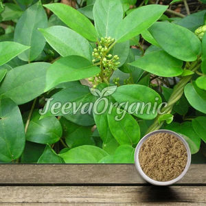 100% Extracto de hierbas puro 10:1 y 20:1 concentración Gotu Kola & Centella Asiatica en polvo de ingredientes naturales - Product Image 1