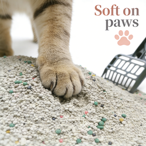 BENJIE工厂批发价5公斤灰色球形0.5-4毫米防臭无尘快速结团高吸附猫砂 - Product Image 3