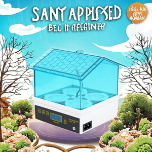 Grazioso Mini 4 uovo incubatore intelligente a temperatura costante macchina da cova per uso domestico - Product Image 3