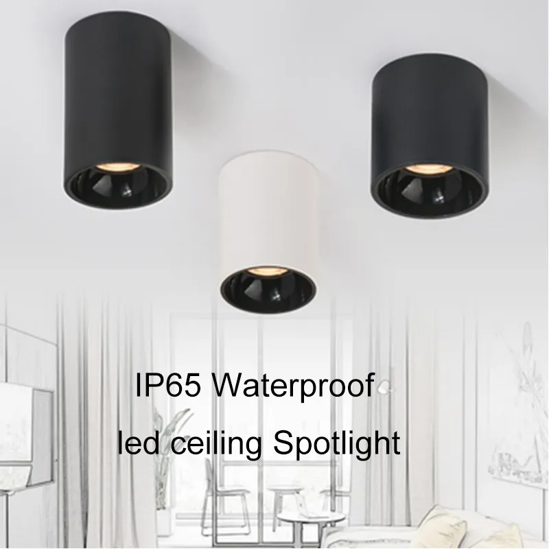 Indoor Led-Plafondspot 24W 4Inch Ra90 Oppervlakte Gemonteerde Led-Spots Voor Thuis-En Commerciële Ruimte