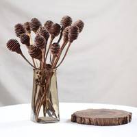 Cabang Buah Spiral Afrika Kering Tahan Lama Dekorasi Ruang Tamu Minimalis Bahan Pembuatan Buket DIY