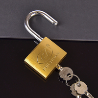 Cadenas en fer robuste avec clé, anse en acier trempé pour remise extérieure, garage et porte