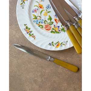 Juego de 6 cuchillos de mesa con mango de resina Flaviamastro - Product Image 1