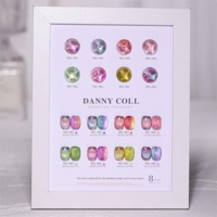 Danny Coll-Vernis gel pour les yeux de chat, arc-en-ciel, néon, vente en gros