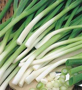 Février Kits de culture de légumes en pot complet Fournitures de jardin pour un jardinage potager réussi - Product Image 1