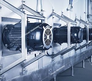 เครื่องแช่แข็งปลาแซลมอนแช่แข็งและอุโมงค์กุ้งแช่แข็งพร้อมมอเตอร์เป็นส่วนประกอบหลัก - Product Image 6