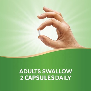 Capsules de thé vert brûle-graisses en gros pour la gestion du poids des employés de bureau - Product Image 2