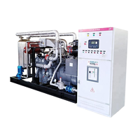 30kW AC Tiga Fasa 240V 50/60Hz Generator Set Biogas Gas Alam LPG CNG Efisiensi Tinggi untuk Penggunaan Industri Pabrik Pedesaan