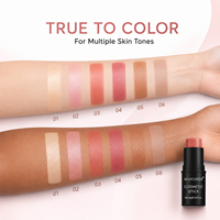 Stock disponible – 6 couleurs – Stick blush crémeux, lisse, aspect naturel, longue tenue – Prix de gros, approvisionnement en vrac, OEM ODM – Maquillage visage
