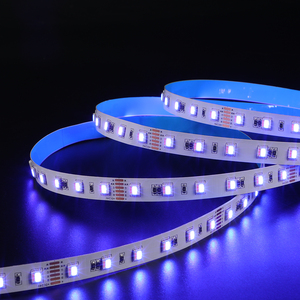 2025 nuovi arrivi 14 W/M 24V 12mm Smart Smd 5050 Led Rgb luce luci Rgb + WH WW 5050 60D 4 in1 colore 5m per TV