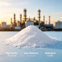 Offre Spéciale – Prix Usine – Sulfate de Sodium Anhydre Na2SO4 – Produit Chimique pour Lessive en Poudre – Fabriqué en Chine