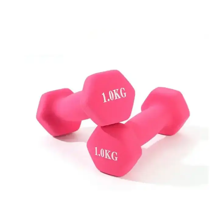 Cheap Price Colorful Durable Fitness Equipment Dumbbell Yoga Rubber-coated Small Dumbbell 1 kg 2/3 for Home Use