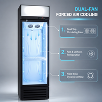 Réfrigérateur vertical de présentation avec système de refroidissement hybride, porte vitrée simple, plage de température 2-8°C pour magasin