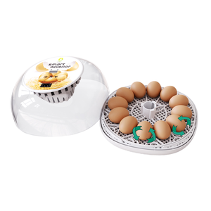 बिक्री पर परिवार के उपयोग के लिए ऊर्जा की बचत के साथ पूरी तरह से स्वचालित 12 अंडे इनक्यूबेटर पूरी तरह से स्वचालित - Product Image 1