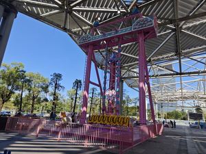 Offre Spéciale Manèges à sensations fortes : Manèges à balançoire extérieurs, Manèges pour parcs à thème, Manèges pour parcs de trampolines - Manèges d'amusement durables en acier et plastique, capacité 500 kg - Product Image 5