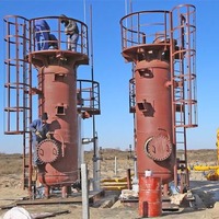 Production professionnelle biogaz hydrogène sulfure purificateur filtre biogaz H2S tour de Purification