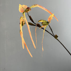 รองเท้าแตะสตรีสไตล์เขตร้อน papiopedilum สำหรับตกแต่งแจกันในบ้านโรงแรม - Product Image 5