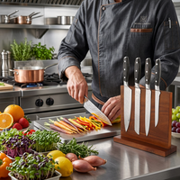 Ensemble de couteaux de cuisine Garwin 9 pièces en acier inoxydable 3Cr13 martelé, manches en bois Pakka, bloc magnétique en bois d'acacia