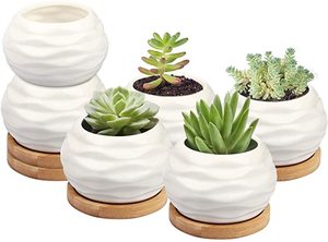 Petits pots en céramique pour <span class=keywords><strong>cactus</strong></span> d'intérieur, design carton, finition émaillée, pour plantes succulentes, à suspendre ou à poser au sol, décoration intérieure, bienvenue - Product Image 2