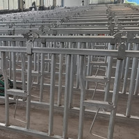 Nouvel équipement d'élevage de bovins laitiers en acier vache tête de verrouillage panneau d'élevage pince de cou de taureau accessoires de cou de boeuf pour l'élevage