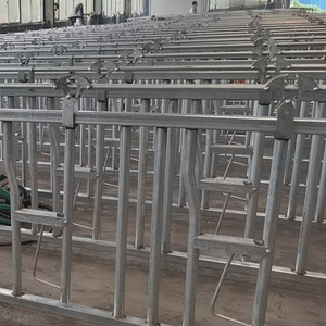 Nouvel équipement d'élevage de bovins laitiers en acier vache tête de verrouillage panneau d'élevage pince de cou de taureau accessoires de cou de boeuf <span class=keywords><strong>pour</strong></span> l'élevage - Product Image 5