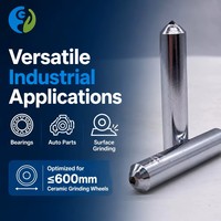 Outil de rectification diamanté industriel, stylo de centrage à pointe unique 12x50L pour rectifieuses cylindriques sans centre et rectifieuses d'outils OEM