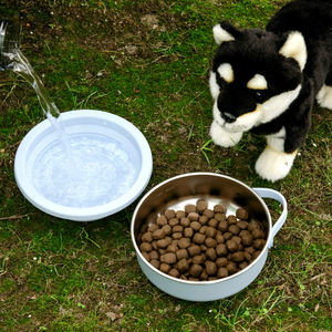 ชามอาหารสุนัขดีไซน์ใหม่เอนกประสงค์ 2 in 1 ชามสแตนเลสสำหรับสัตว์เลี้ยง ชามอาหารสุนัขพร้อมชามน้ำแบบถอดได้ - Product Image 4