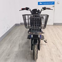 Vélo électrique Shenma 800W pour livraison de marchandises, E-bike 60V, scooter électrique tout-terrain pour la logistique urbaine