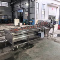 Automatische ozonbel-staalmotorpomp voor wasmachines met hoge capaciteit voor de verwerking van champignons, schimmels, fruit, groenten en voedsel in fabrieken