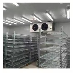 Cámara Frigorífica Logística <span class=keywords><strong>de</strong></span> Gran Capacidad con Motor y Equipo <span class=keywords><strong>de</strong></span> Congelación, Unidad Condensadora <span class=keywords><strong>de</strong></span> Refrigeración - Product Image 1