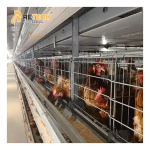 Egg Layer Chicken Cage Poultry Farm Equipment Chicken House For South Africa