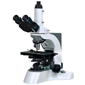 BestScope BS-2080 Sistema Óptico Infinito Biológico de Laboratorio de Alto Nivel Ergonómico para Investigación de Laboratorio - Product Image 1