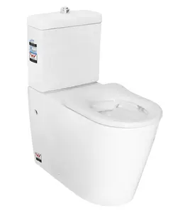 Wc-6018 Washing Down One-piece Disabled Toilet With Soft-closing Seat Cover Watermark Certificate